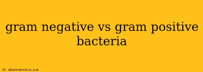 gram negative vs gram positive bacteria