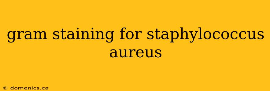 gram staining for staphylococcus aureus