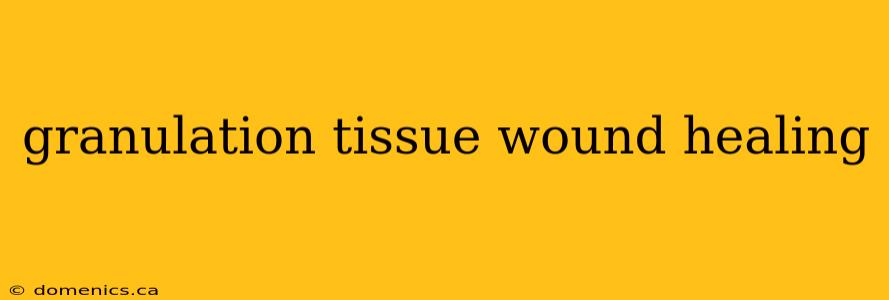 granulation tissue wound healing