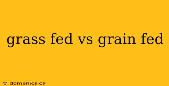 grass fed vs grain fed