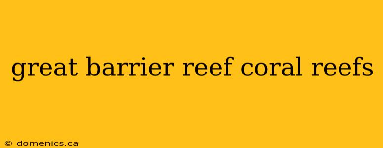 great barrier reef coral reefs