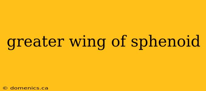 greater wing of sphenoid