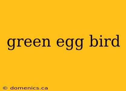 green egg bird