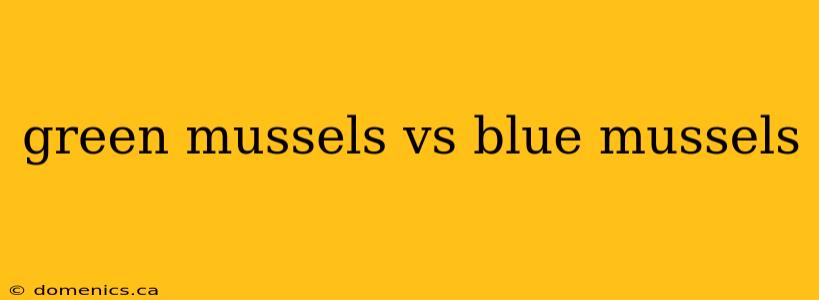 green mussels vs blue mussels