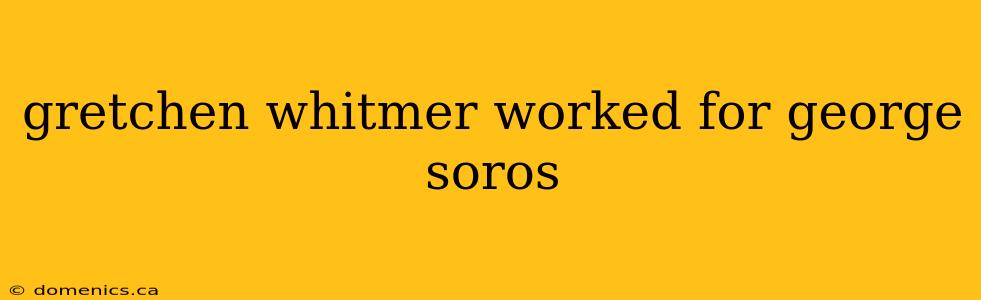 gretchen whitmer worked for george soros