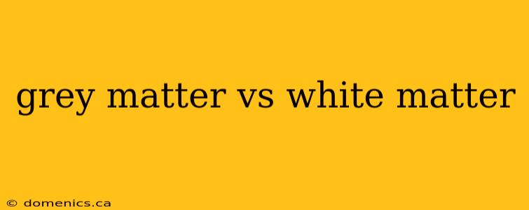 grey matter vs white matter