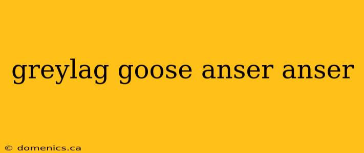 greylag goose anser anser