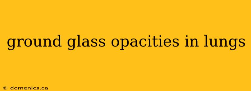 ground glass opacities in lungs