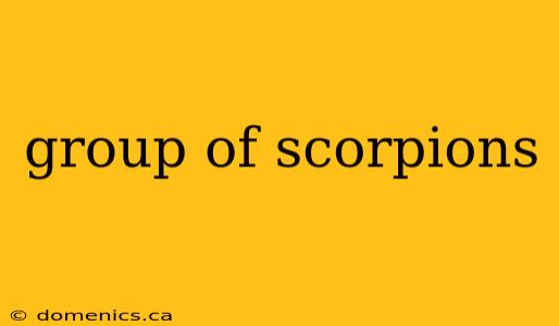 group of scorpions