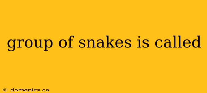 group of snakes is called