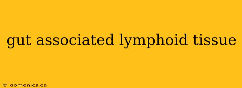 gut associated lymphoid tissue