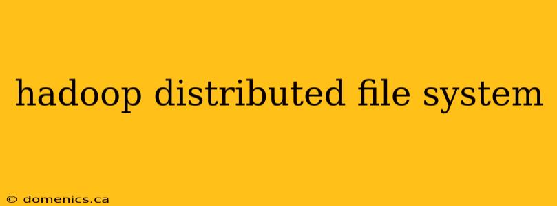 hadoop distributed file system