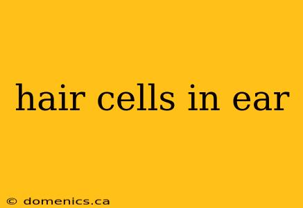 hair cells in ear