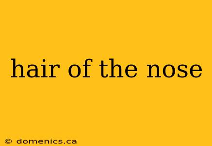 hair of the nose