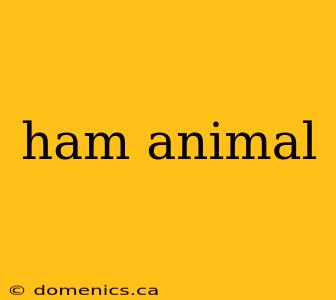 ham animal
