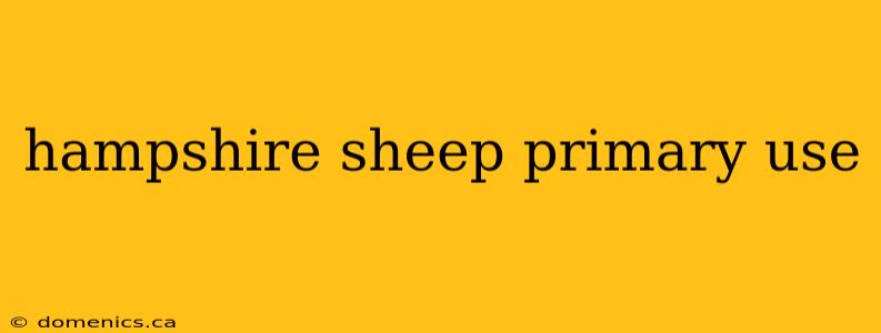 hampshire sheep primary use