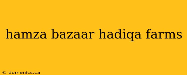 hamza bazaar hadiqa farms