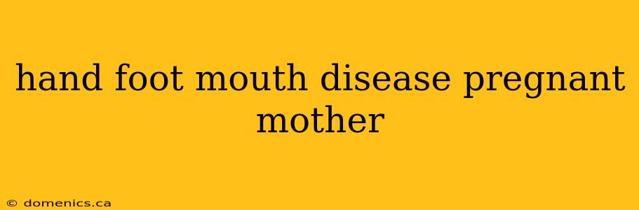 hand foot mouth disease pregnant mother