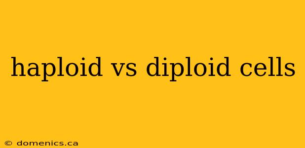 haploid vs diploid cells