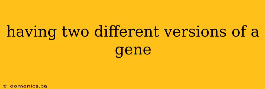 having two different versions of a gene