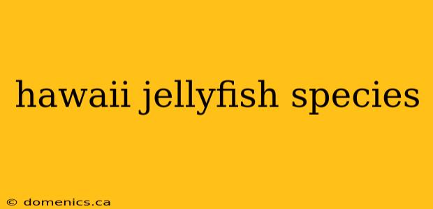 hawaii jellyfish species