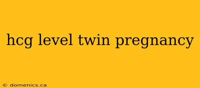 hcg level twin pregnancy