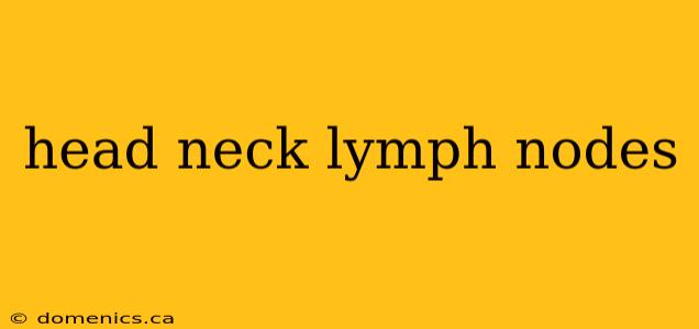 head neck lymph nodes