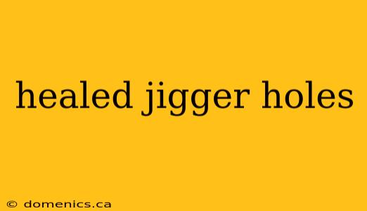 healed jigger holes