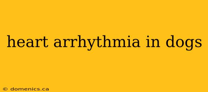 heart arrhythmia in dogs