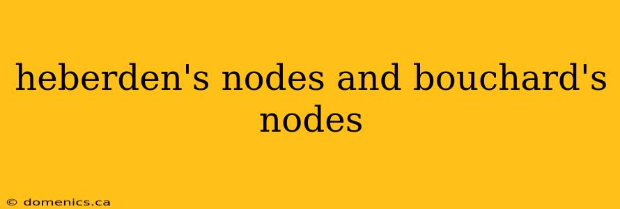 heberden's nodes and bouchard's nodes