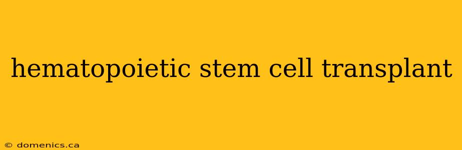 hematopoietic stem cell transplant