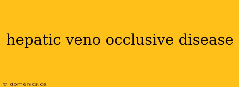 hepatic veno occlusive disease