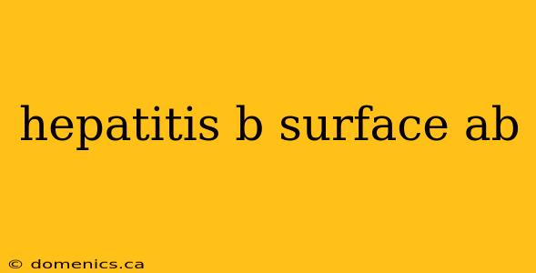 hepatitis b surface ab