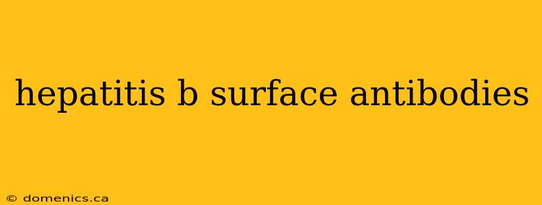 hepatitis b surface antibodies