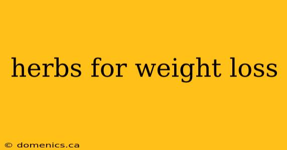 herbs for weight loss