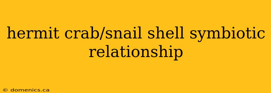 hermit crab/snail shell symbiotic relationship