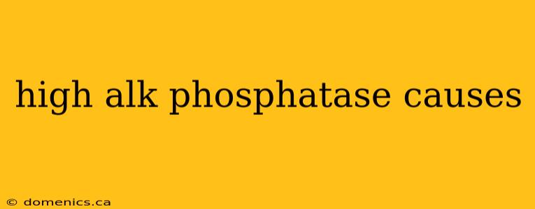 high alk phosphatase causes