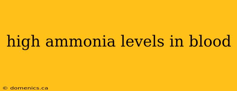 high ammonia levels in blood