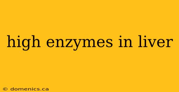 high enzymes in liver