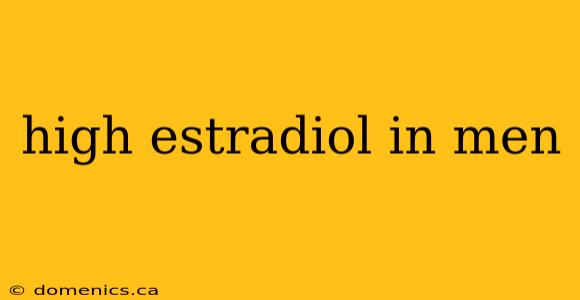 high estradiol in men