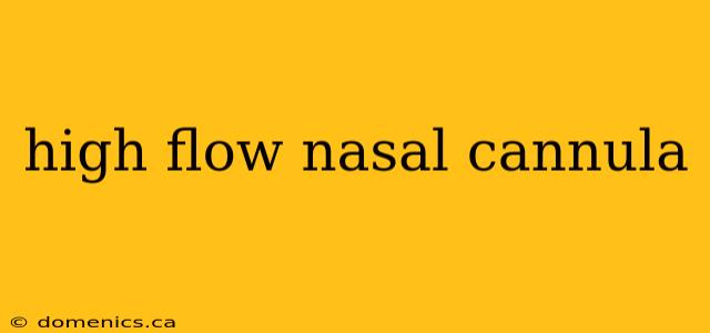 high flow nasal cannula