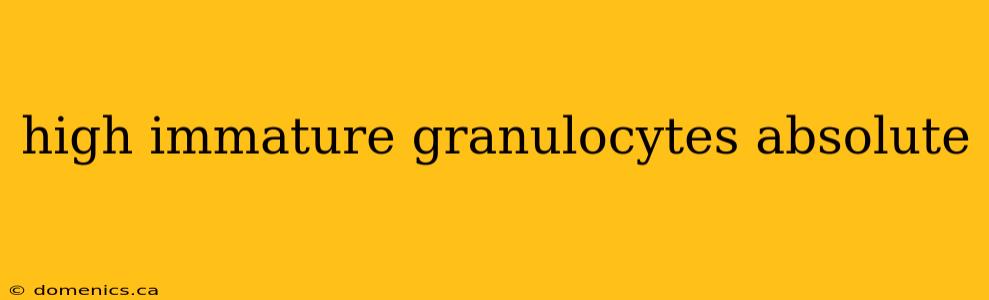 high immature granulocytes absolute