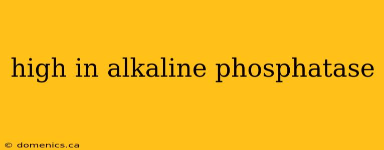 high in alkaline phosphatase