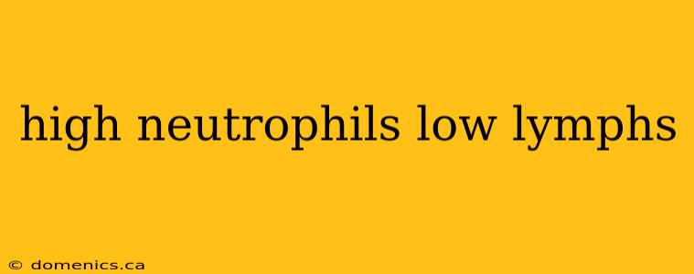 high neutrophils low lymphs