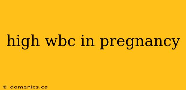 high wbc in pregnancy