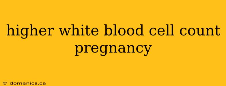 higher white blood cell count pregnancy