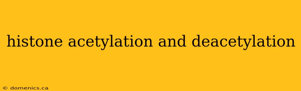 histone acetylation and deacetylation