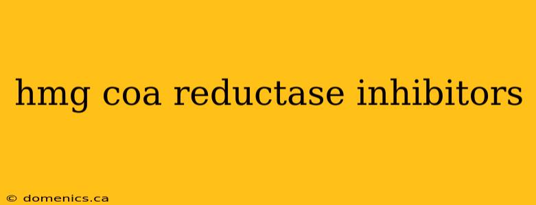 hmg coa reductase inhibitors