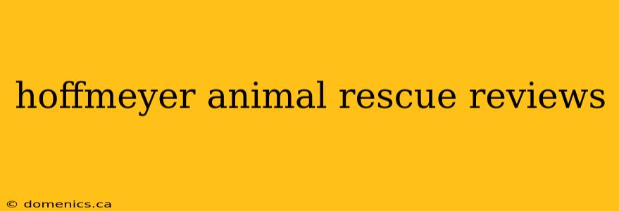 hoffmeyer animal rescue reviews