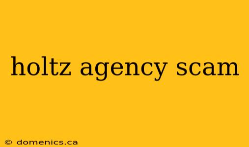 holtz agency scam